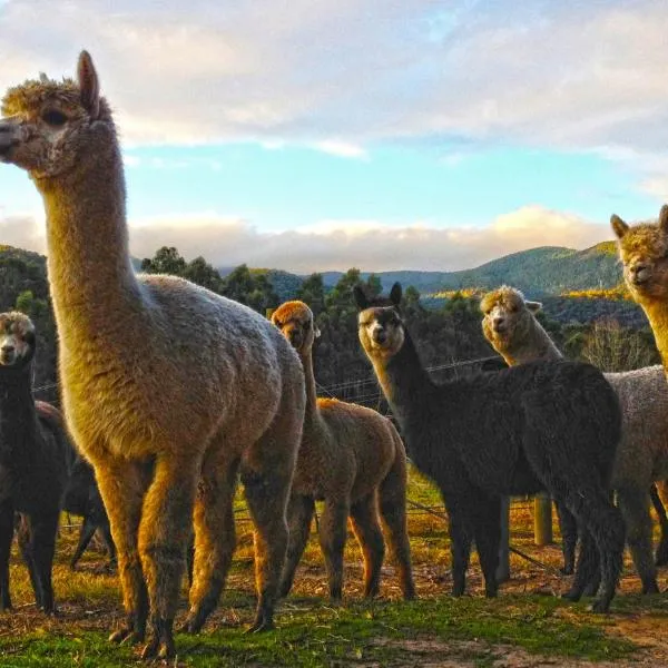 Valley Farm Vineyard Villas, hotel in Healesville