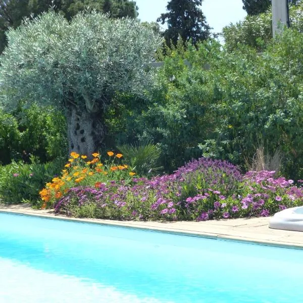 Gîte Les Lauriers Roses, hotel in Marseillan