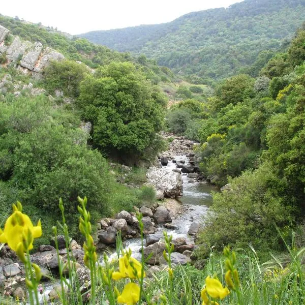 Tourism in the village, hotel a Ein Kinya