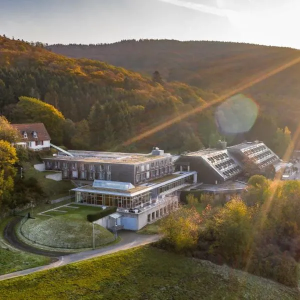 Collegium Glashütten, hotel in Altweilnau