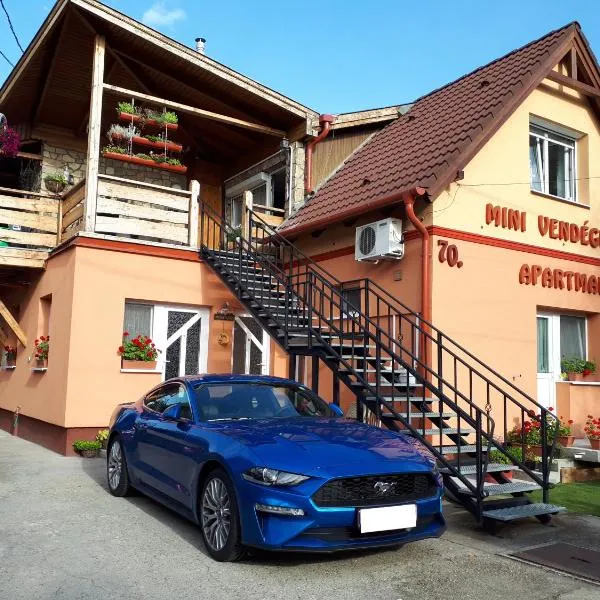 Mini Vendégház Budaörs, hotel v destinaci Budaörs