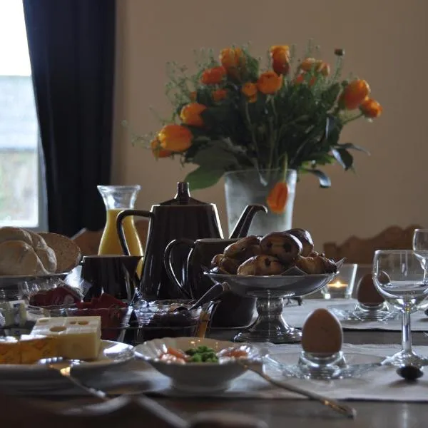 B&B 't Huys van Enaeme, hotel v destinaci Oudenaarde