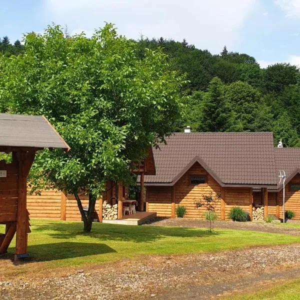 Bieszczadzka Świteź, Hotel in Baligród