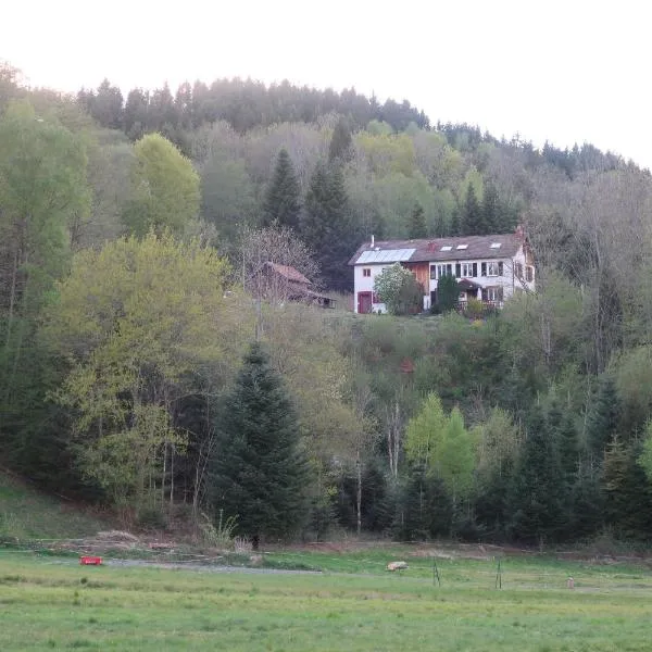 BnB chambres d'hôtes le Chêne, hotell i Anould