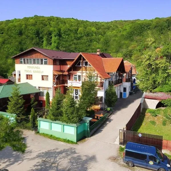 Pensiunea Agroturistică Piscul Soarelui, hotel in Schitu-Goleşti