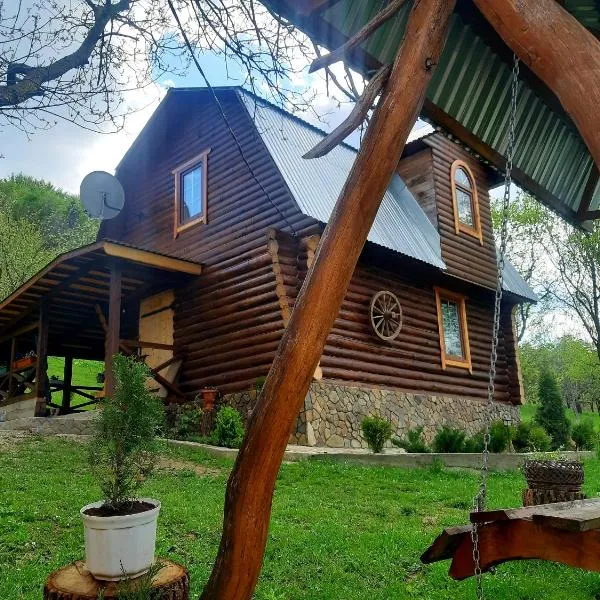 Дерев'яний будинок з банею, Hotel in Dovholuka