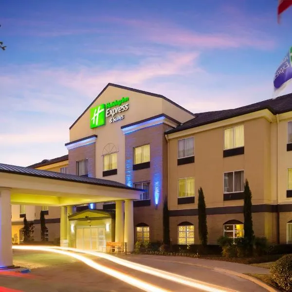 Holiday Inn Express Hotel and Suites DFW-Grapevine by IHG, hotel v destinaci Grapevine