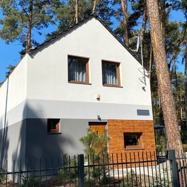 Grey House, hotel in Boszkowo