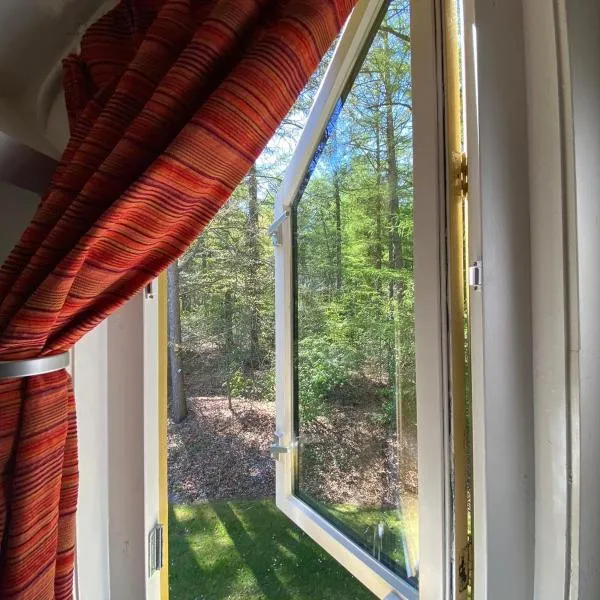 Dalfsen में, होटल Marry's boshuisje