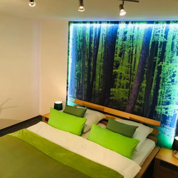 Limes Apartment -übernachten am Limes-、Rainauのホテル