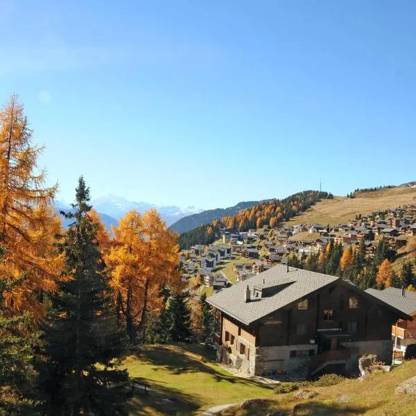 Chalet Trollius, hotel v destinaci Bettmeralp
