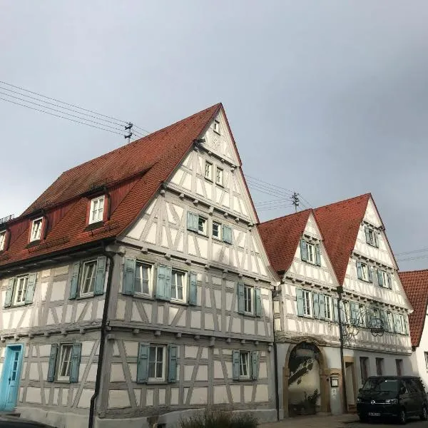 Historik Hotel Ochsen, hotel in Oberriexingen