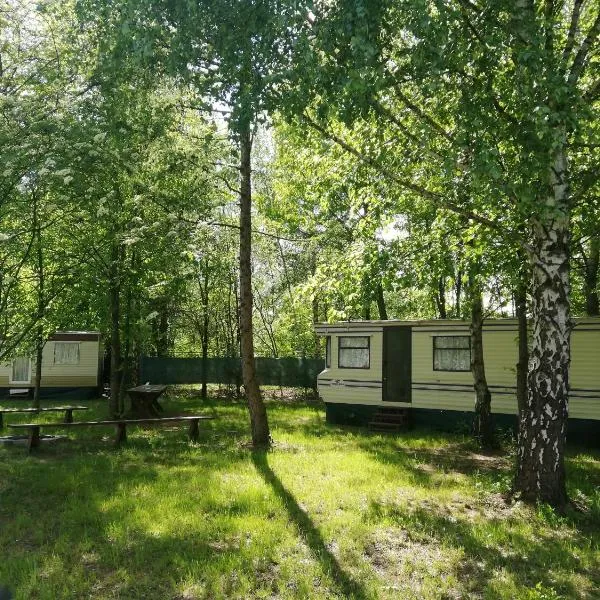 Domki nad Jeziorem Tarnobrzeskim, hotel en Baranów Sandomierski