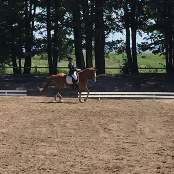 Sassi Talu Horsefarm, hotel i Pärnumaa