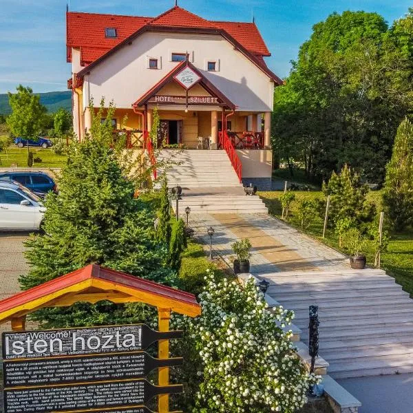 Borhotel Sziluett Farkasmály – hotel w mieście Gyöngyös