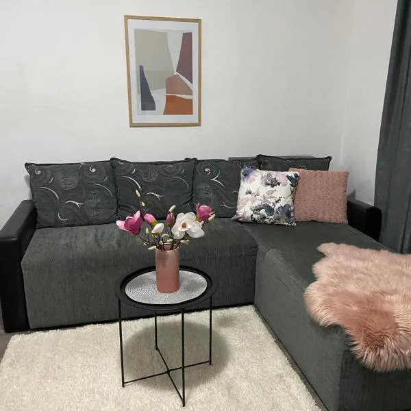 Apartman Aleksic – hotel w mieście Jagodina