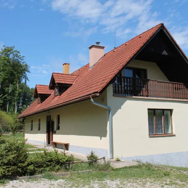 Chata pod lesom Nová Baňa, hotel v destinaci Nová Baňa