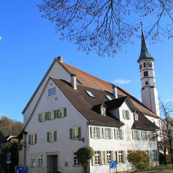 Hotel Linde Leutkirch, hotel in Leutkirch im Allgäu