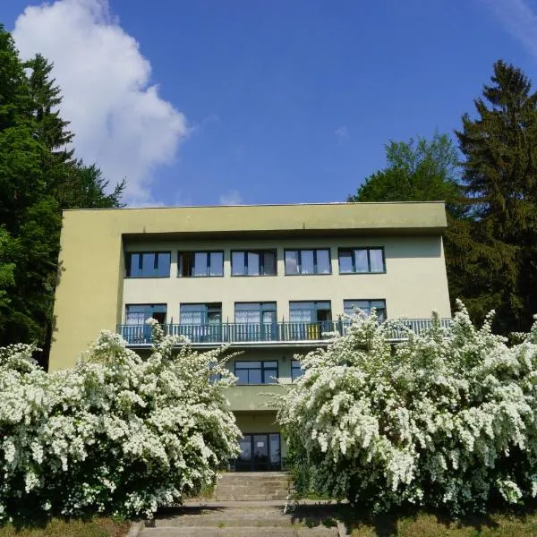 Hotel Chytrov, hotel en Borovná