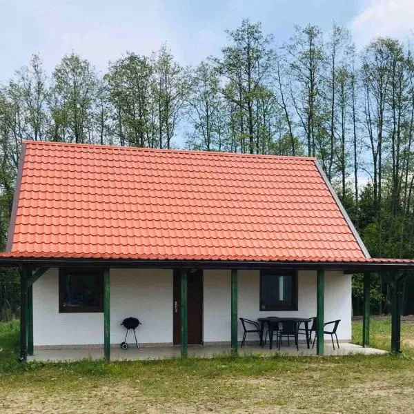 Domki Marina Niedźwiedzi Róg, hotel in Ruciane-Nida