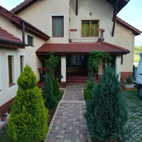 Casa Doina, khách sạn ở Baile Felix