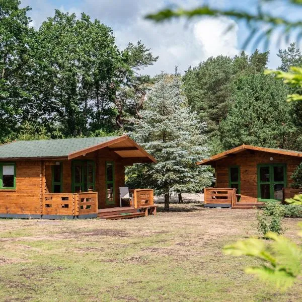 Zielony zakątek Tomasz Laskowski, hotel v destinaci Ładzin