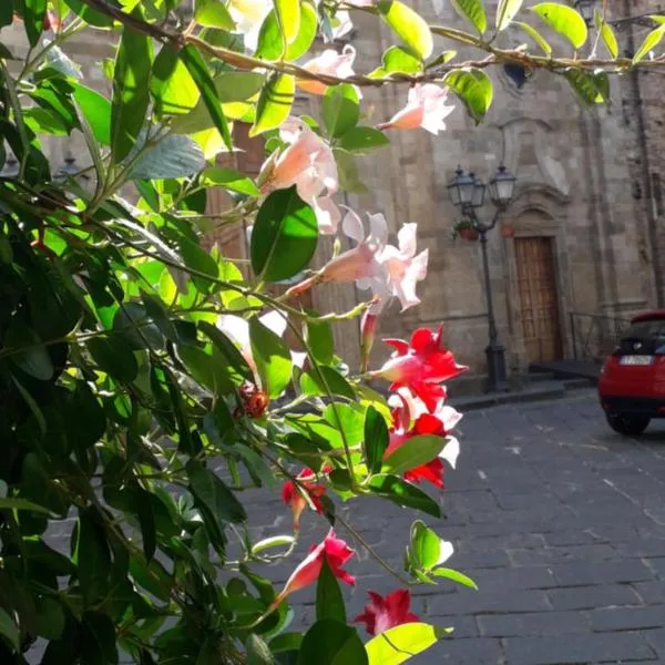 Nenet, hotel v destinaci Guglionesi
