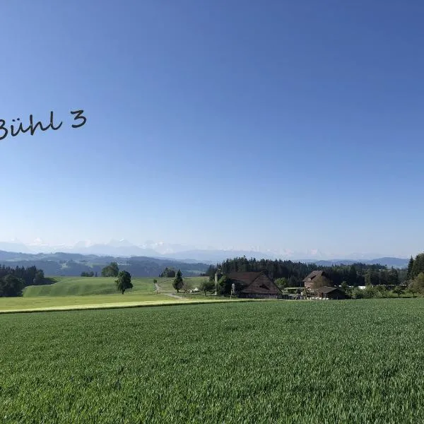 Bühl 3, hotel v destinaci Affoltern