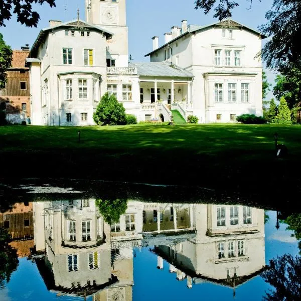 Agroturystyka "Pałac w Janowie", hotel in Janów