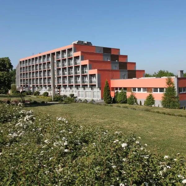 Hotel Panorama, hotel in Krupka - Marsov