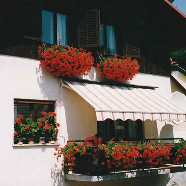 ZRM center, hotel in Žiri