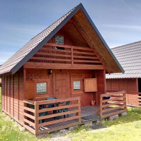 Wakacyjne domki, hotel v destinaci Solina
