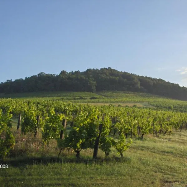 La maison du vigneron, hotel em Dième