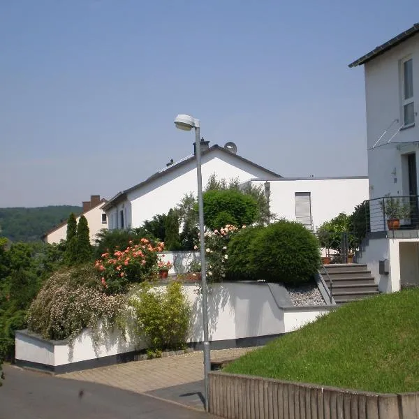 Domizil Koblenz, hotel v Koblenci