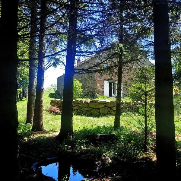 la ferme du crie, hotel en Les Estables