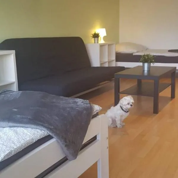 1 A Ferienwohnung Modern Duisburg, hotel in Duisburg