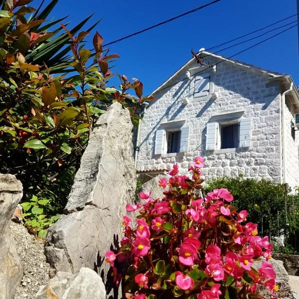 Old Stone Villa Lalosevic, Hotel in Kotor