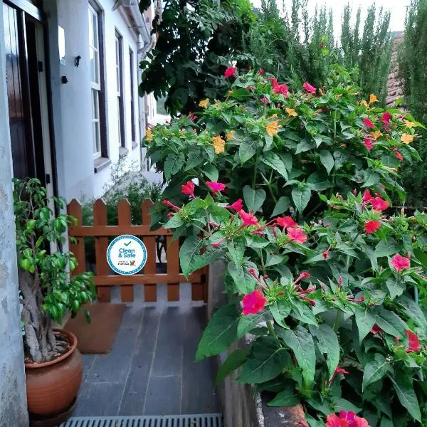 Casa do Sr. Falcão, hotel v destinaci Miranda do Corvo