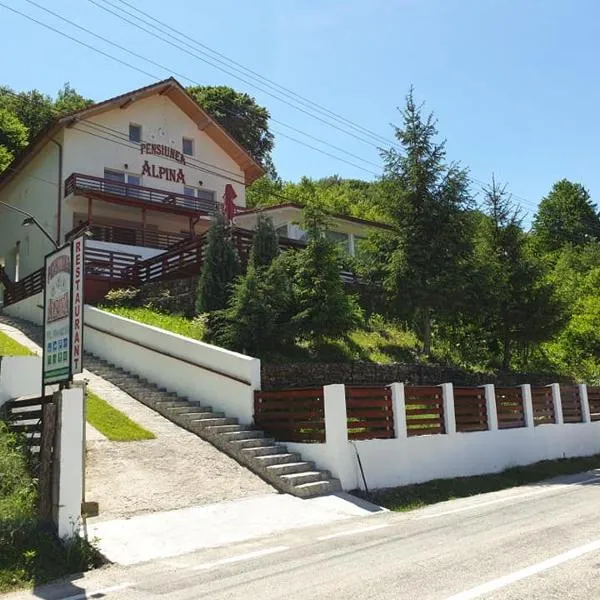 Pensiunea Alpina, hotel in Săliştea