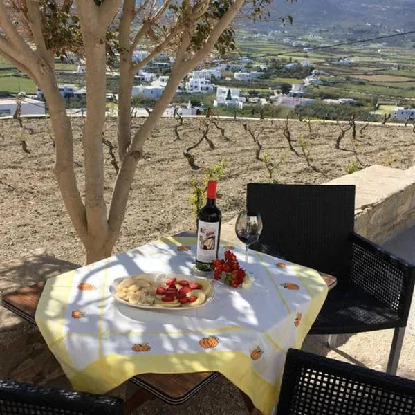 GRAPE YARD APARTMENT, hotel v destinaci Parikia