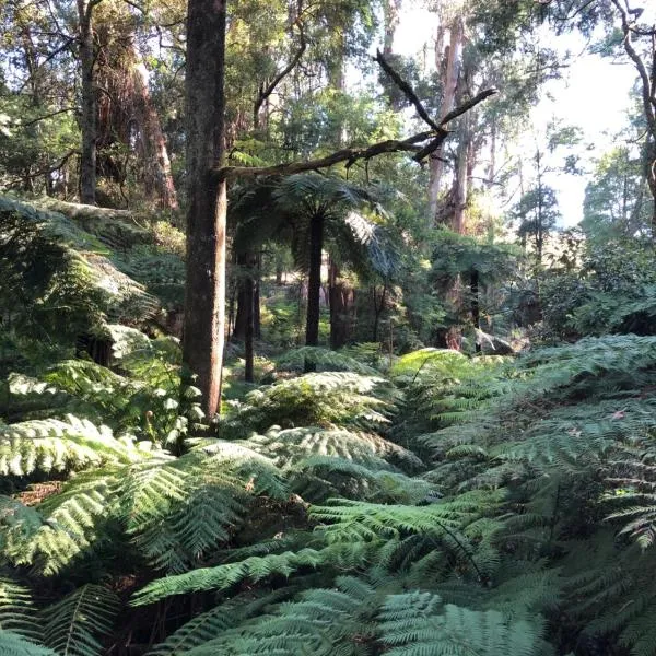 Emerald Creek Cottages, hotell i Belgrave Heights