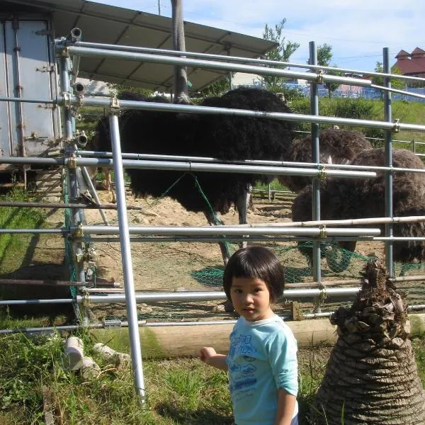 Mirai Noen, hotel en Tanabe