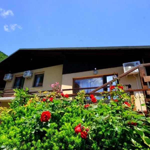 Na Kopitarjevi, hotel v mestu Laško