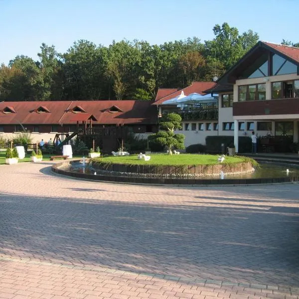 Guesthouse Trajbar Team, Hotel in Dubravica