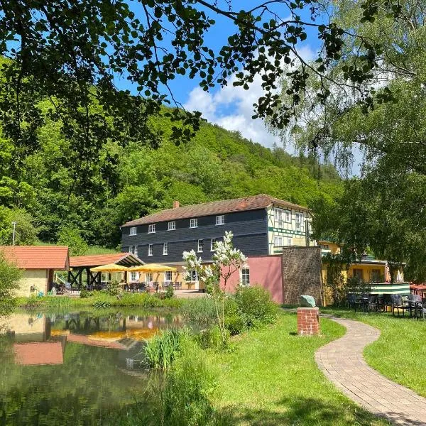 Die Hardtmühle, hotel in Densberg