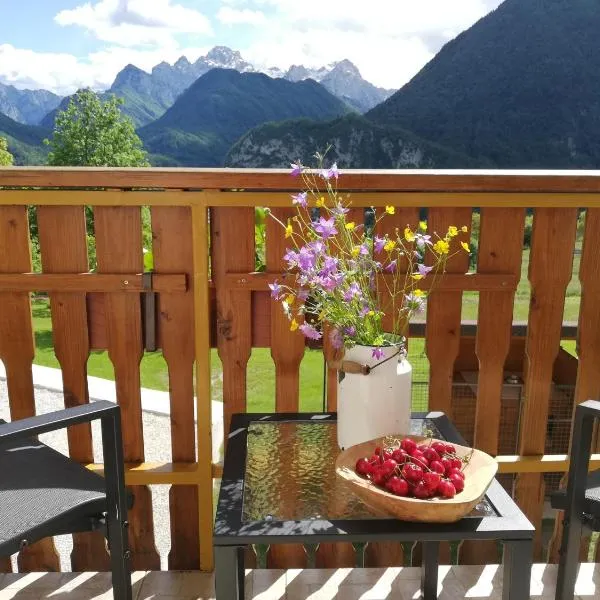 Apartments Mas, hotell sihtkohas Dovje