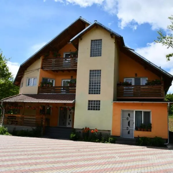 Pensiunea Valea Badilii, hotel in Valea Iasului