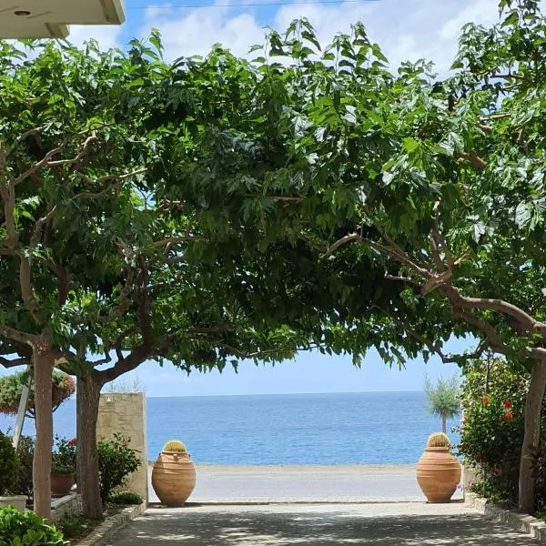 Eirini Apts On the beach: Psari Forada şehrinde bir otel