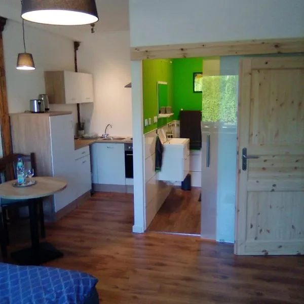 Ferienappartement Studio " Michel" Otzenhausen, hotel v destinaci Nonnweiler