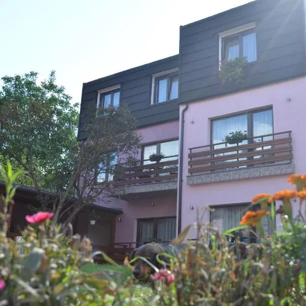 Andy Brasov, hotel in Braşov